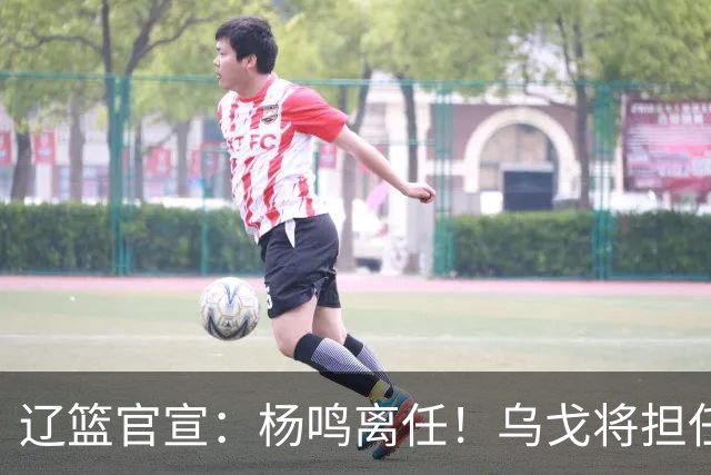 辽篮官宣：杨鸣离任！乌戈将担任辽宁男篮主帅